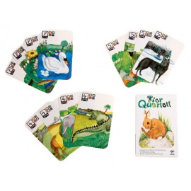 JUEGO de CARTAS QUARTTET de KRAUL