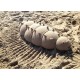 SAND SHAPERS de WILLYSPHERE