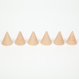 CONO DE MADERA – GRAPAT