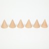 CONO DE MADERA – GRAPAT