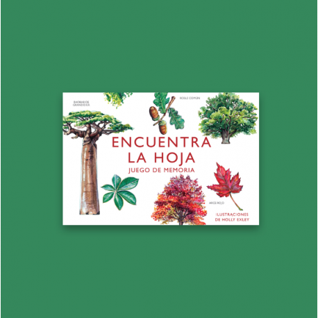 ENCUENTRA LA HOJA - MTM