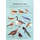 CUADERNO DE AVENTURAS - KEIKO BRODEUR