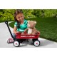 RADIO FLYER – CARRETILLA PEQUEÑA ARRASTRE