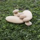 PIEDRAS DE RIO APILABLES DE MADERA NATURAL – GUIDECRAFT