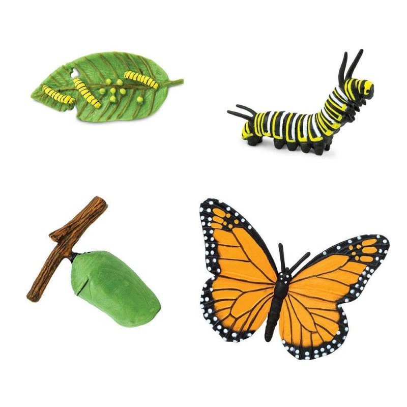 Figuras de ciclo de vida de crecimiento de mariposa artificial juguete de HON 