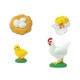 CICLO DE VIDA DE UN POLLO – SAFARI LTD.