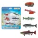 CICLO DE VIDA DE UN SALMON– SAFARI LTD.