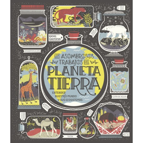 PLANETA TIERRA – RACHEL IGNOTOFSKY