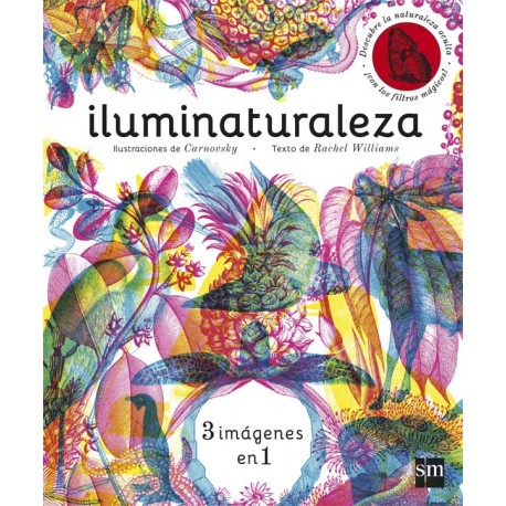 ILUMINATURALEZA – RACHEL WILLIAMS