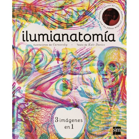 ILUMIANATOMIA – KATE DAVIES