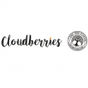 Cloudberries